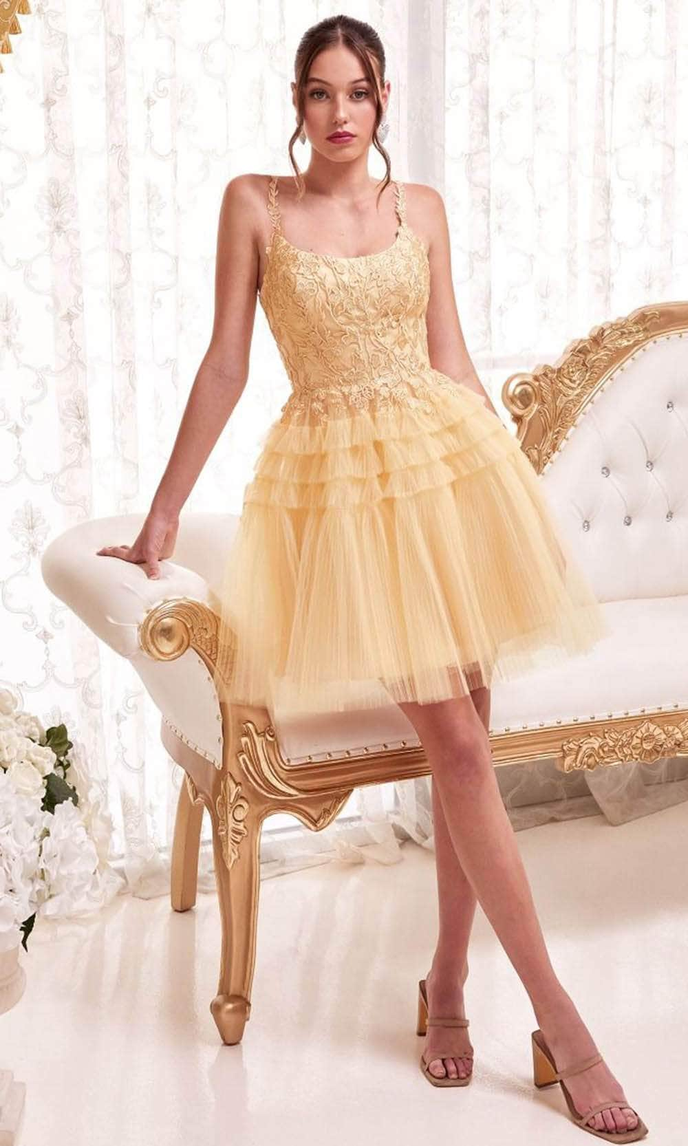 Cinderella Divine 9310 - Embroidered A-line Cocktail Dress Cocktail Dresses XXS / Champagne Gold