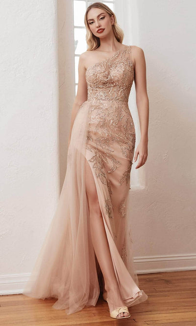 Cinderella Divine CB098 - Beaded Illusion Evening Gown Prom Dresses 2 / Rose Gold-