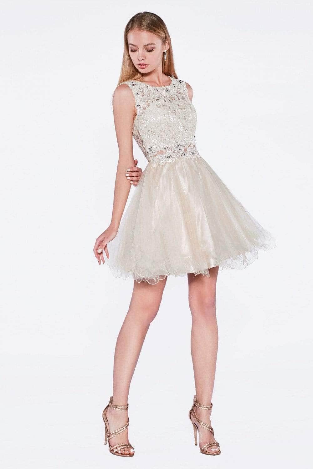 Ladivine CD0117 Special Occasion Dress