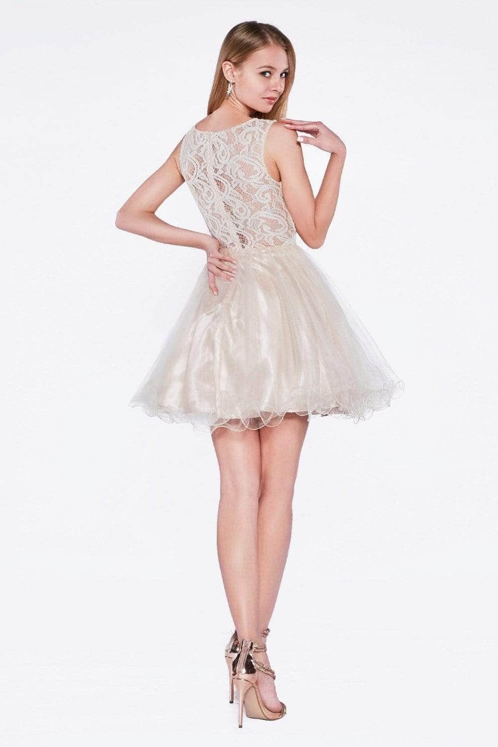 Ladivine CD0117 Special Occasion Dress