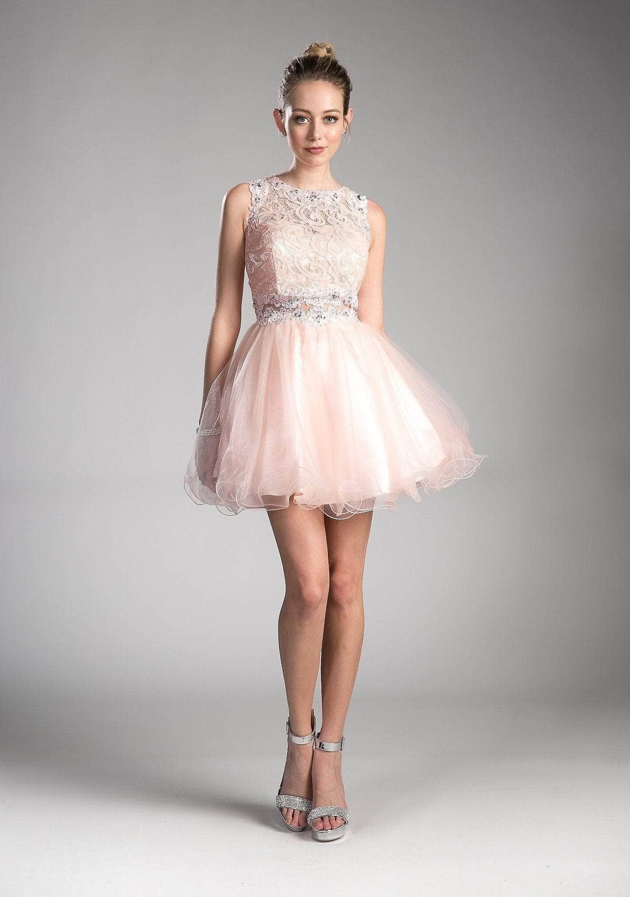 Ladivine CD0117 Special Occasion Dress XXS / Blush