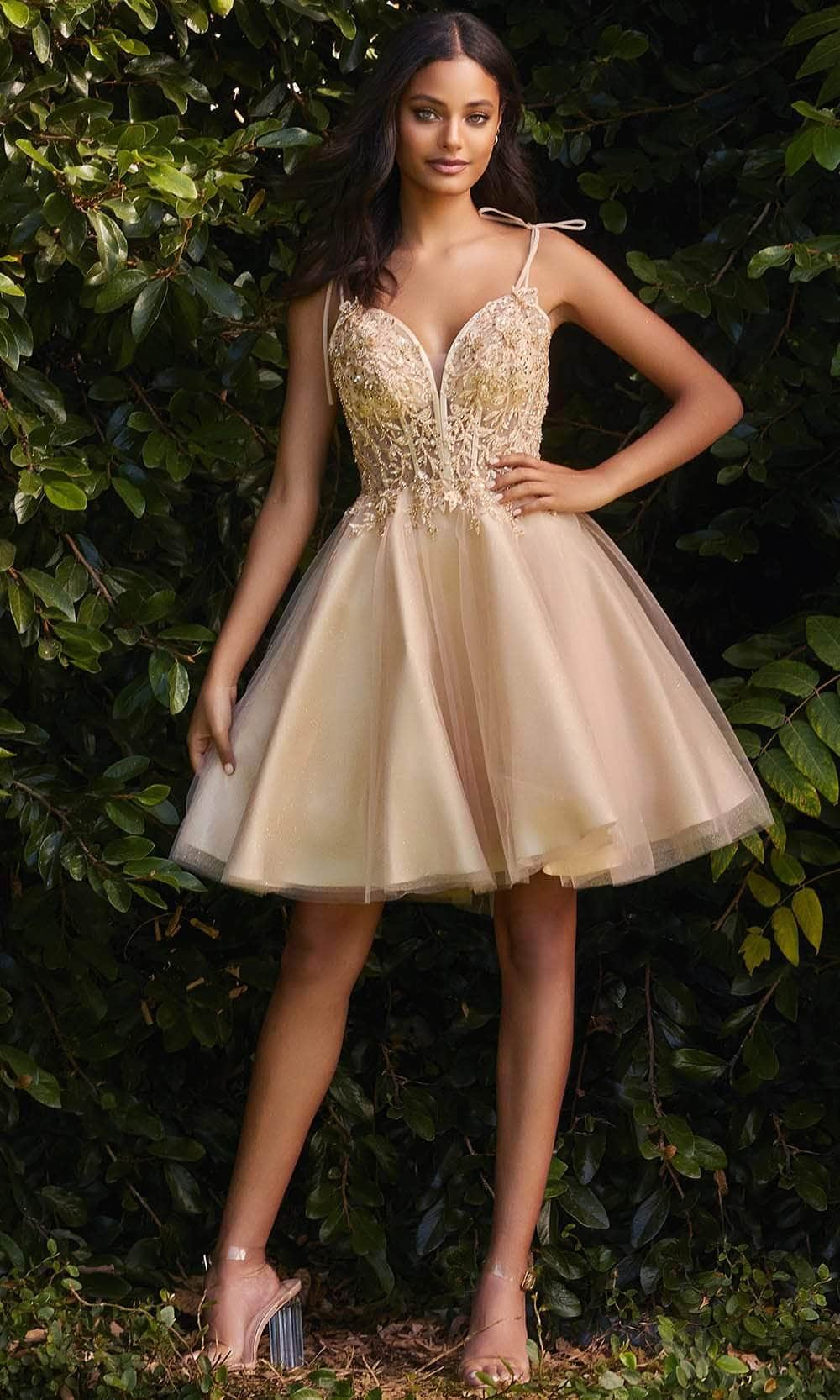 Ladivine CD0188 Cocktail Dresses XXS / Champagne