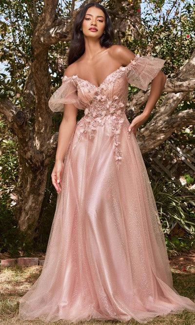 Ladivine CD0197 Evening Dresses XS / Blush