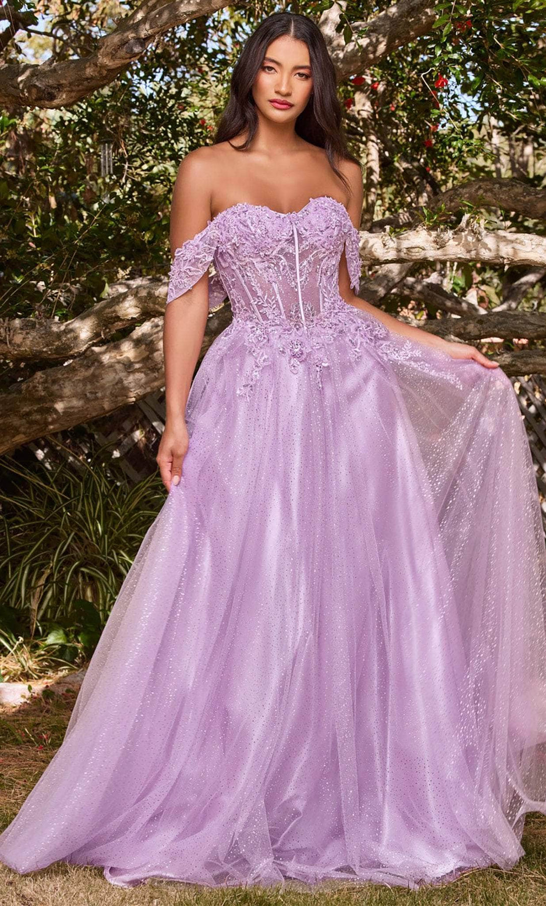 Ladivine CD0198 - Lace A-Line Prom Dress Prom Dresses