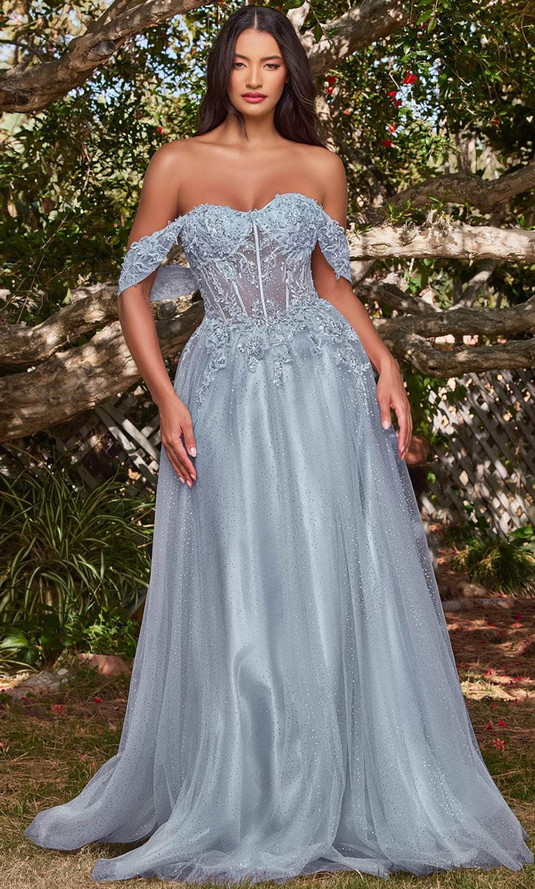 Ladivine CD0198 - Lace A-Line Prom Dress Prom Dresses