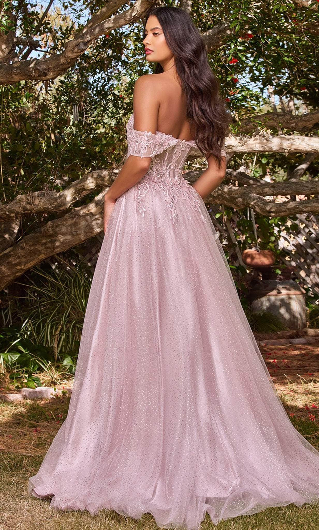 Ladivine CD0198 - Lace A-Line Prom Dress Prom Dresses