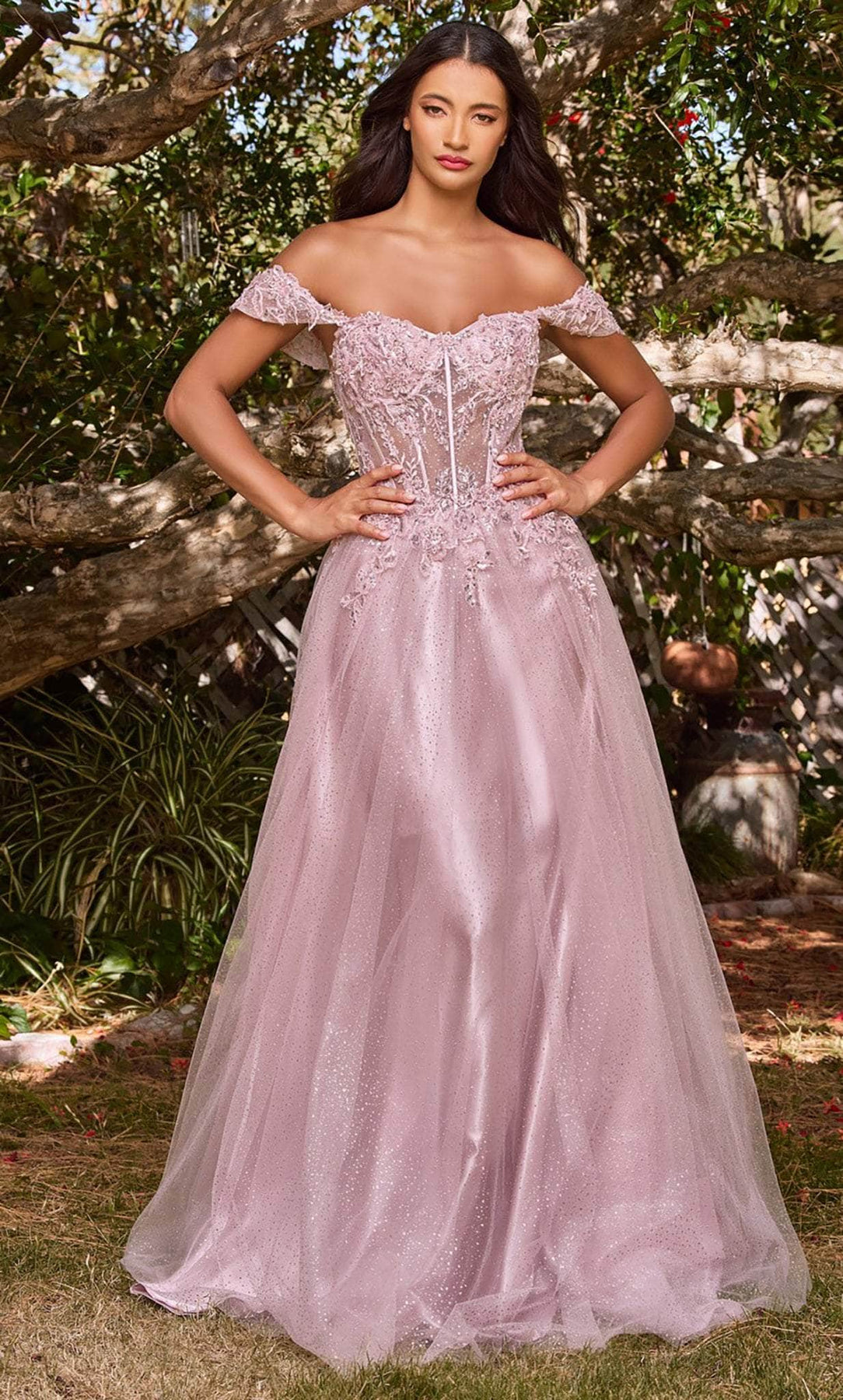 Ladivine CD0198 - Lace A-Line Prom Dress Prom Dresses XXS / Mauve-