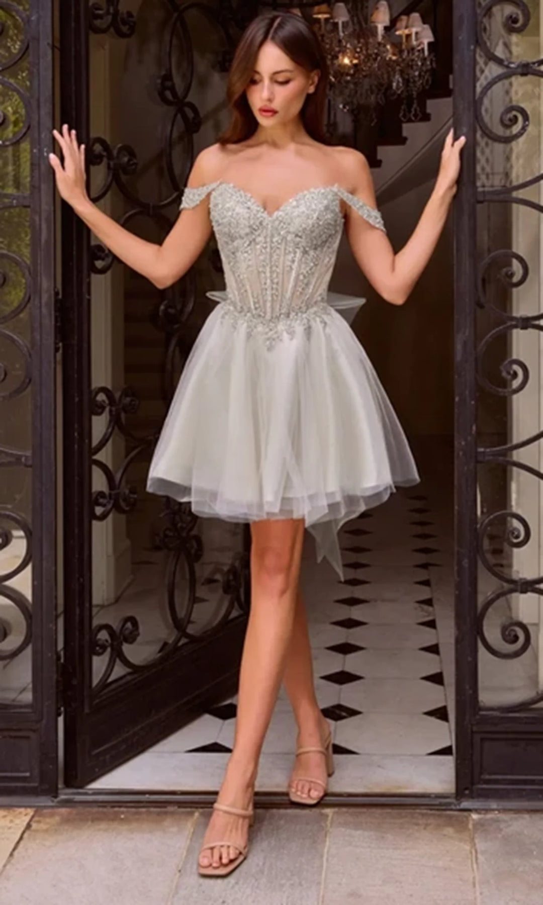 Ladivine CD0246 Applique Corset Damas Dress