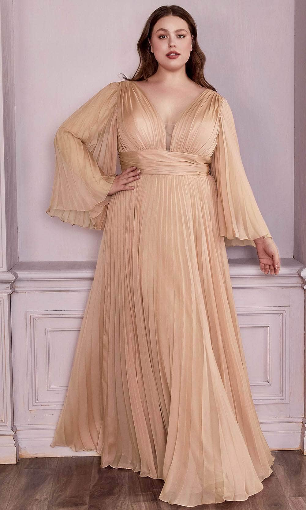 Ladivine CD242C Evening Dresses 18 / Champagne