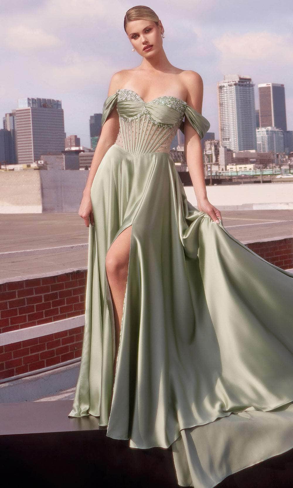 Ladivine CD297 - Pleated Sweetheart Evening Dress Evening Dresses 0 / Sage