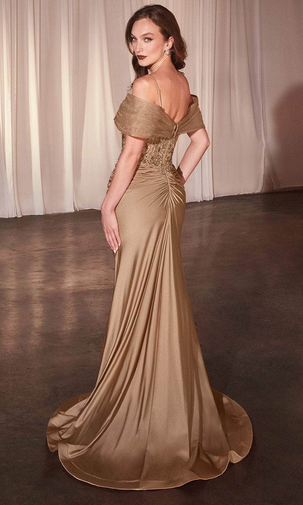 la divine prom dress Applique Off Shoulder A-line Gown by Ladivine CD799 Classic mermaid La Divine by Cinderella CM369
