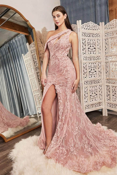 Ladivine CD973 Evening Dresses 2 / Dusty Rose