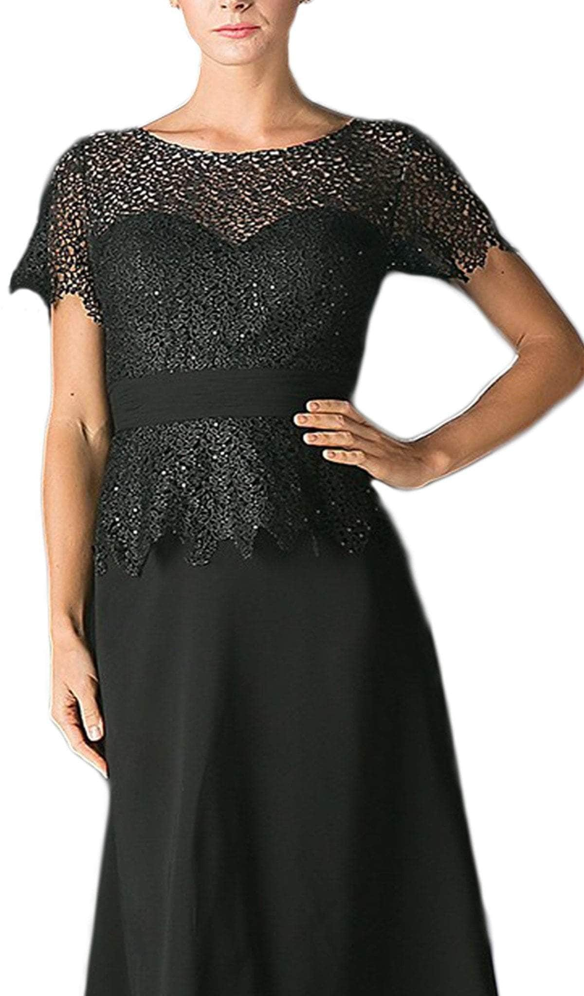 Ladivine CH1511 Special Occasion Dress