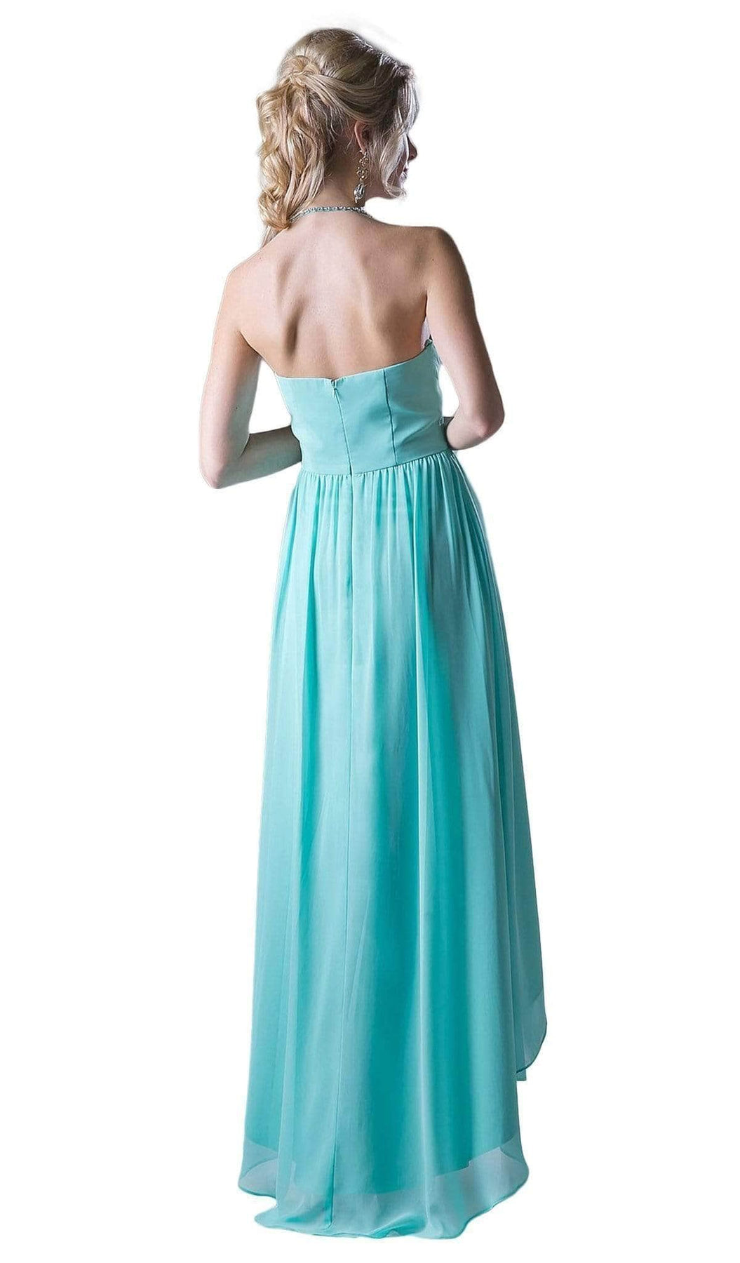 Ladivine CH528 Evening Dresses