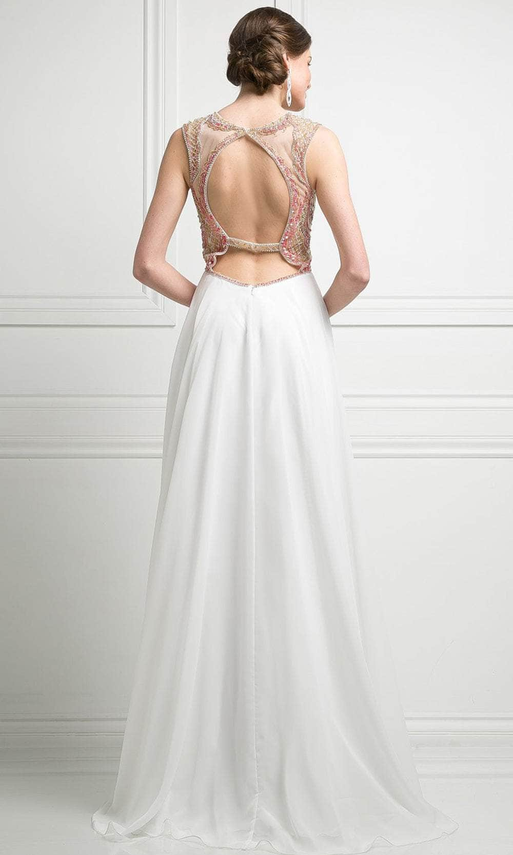 Ladivine CK15 Evening Dresses