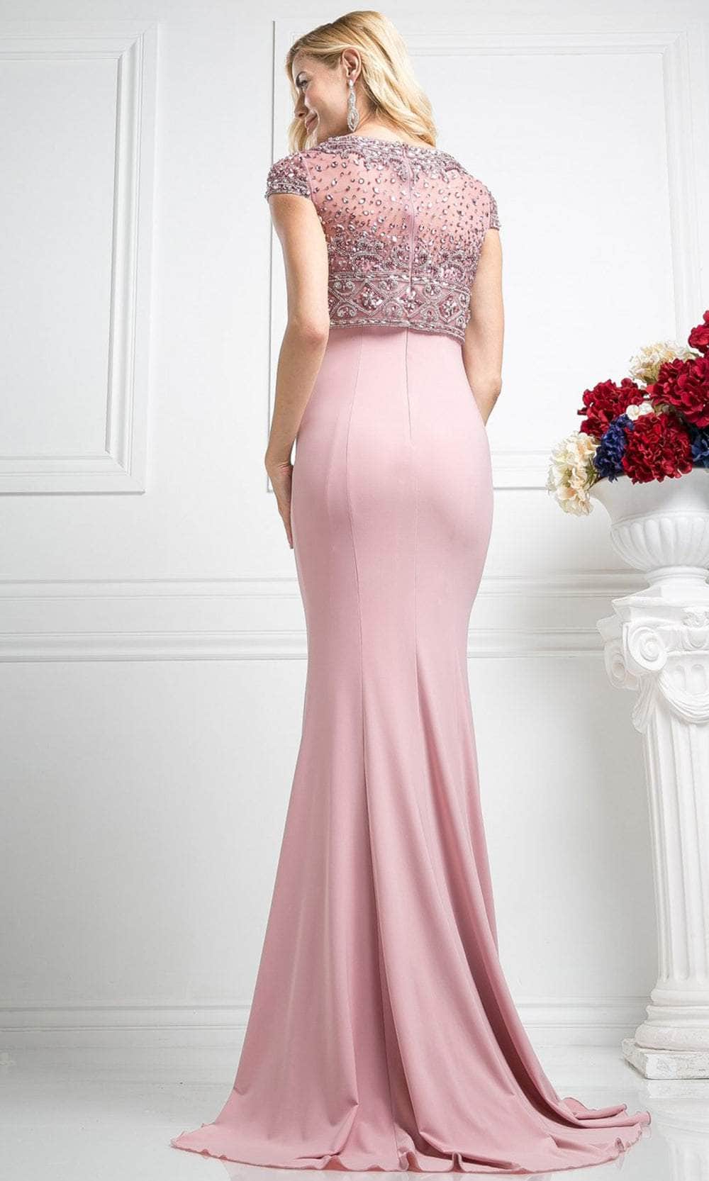 Ladivine CR716 - Embellished Top Fitting Long Gown Prom Dresses