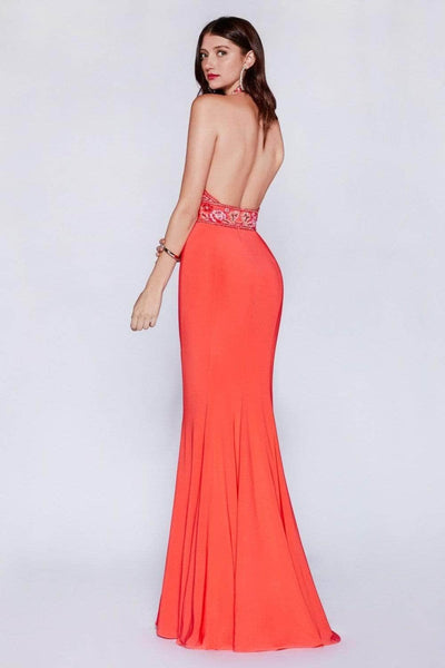 Ladivine CR770 Special Occasion Dress
