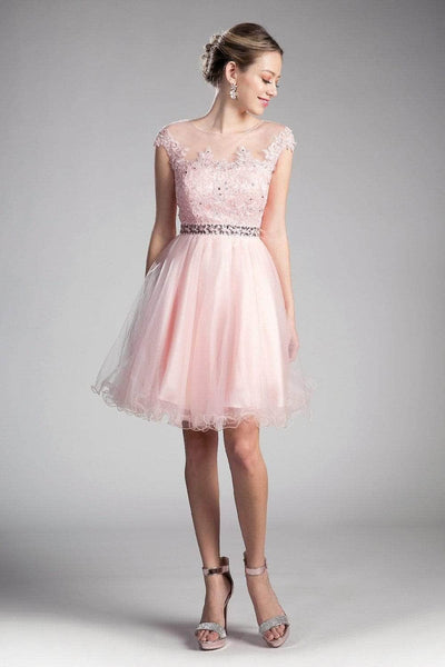 Ladivine UJ0012 Special Occasion Dress XXS / Blush