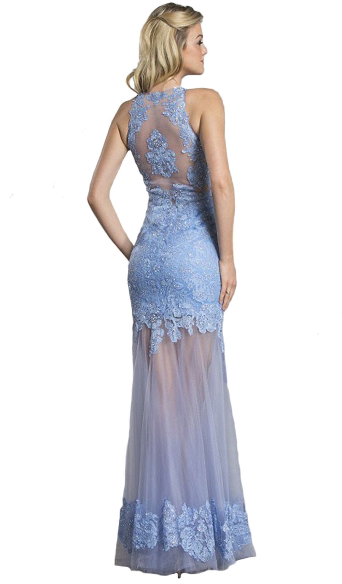 Long Sheath Gown with Sheer Illusion Skirt Dress