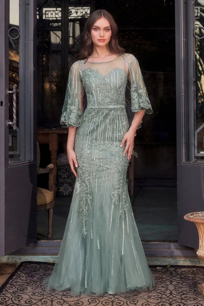 Andrea and Leo MA105 - Illusion Cape Evening Gown