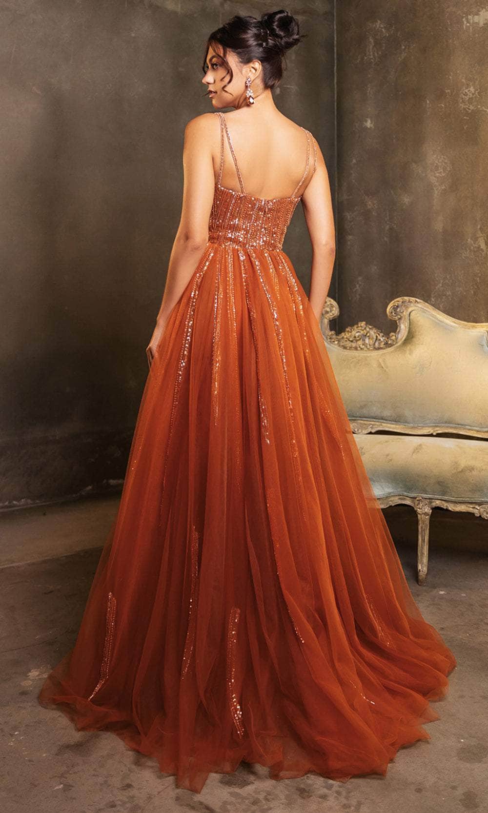 May Queen RQ8186 - Long Sheath/A-Line Dress - Sleeveless, Fitted Bodice, Sheer Insert, Back Zipper Closure, Overskirt, Train 18 / Rust - Shop May May Queen RQ8186 - Long Sheath/A-Line Dress - Sleeveless, Fitted Bodice, Sheer Insert, Back Zipper Closure, Overskirt, Train 18 / Rust - Shop May