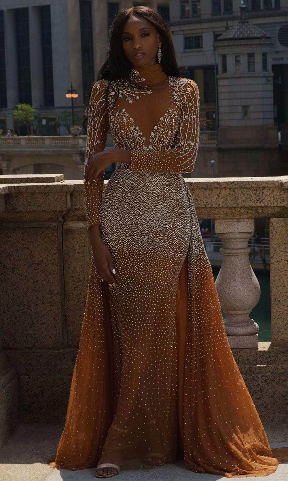 formal dresses with sheer sleeves EMBELLISHED LONG CAPE SLEEVE GOWN BY LADIVINE CD865 PLATINUM / 6