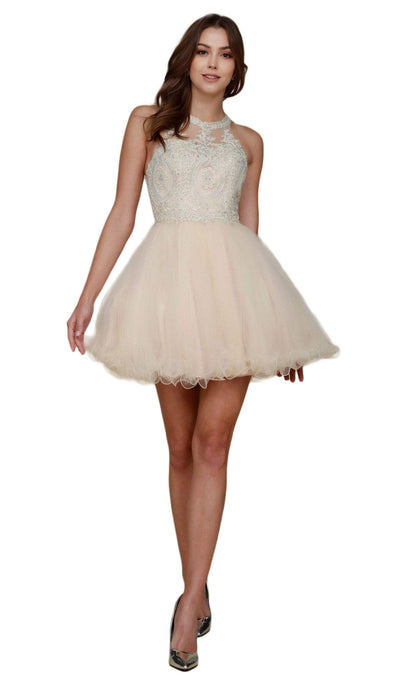 Nox Anabel - B652 Sparkly Lace Applique Bodice Tulle Cocktail Dress Cocktail Dresses XS / Champagne