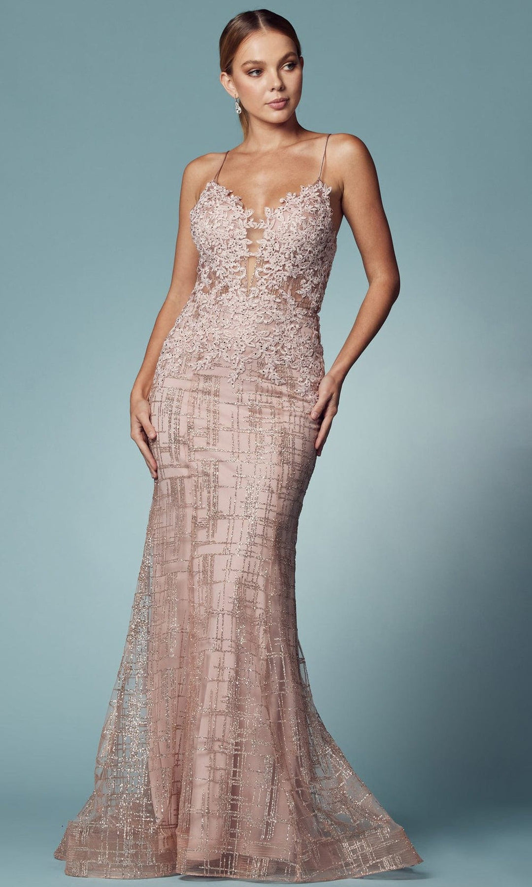 Nox Anabel R282-1 Lace Applique Mermaid Prom Dress