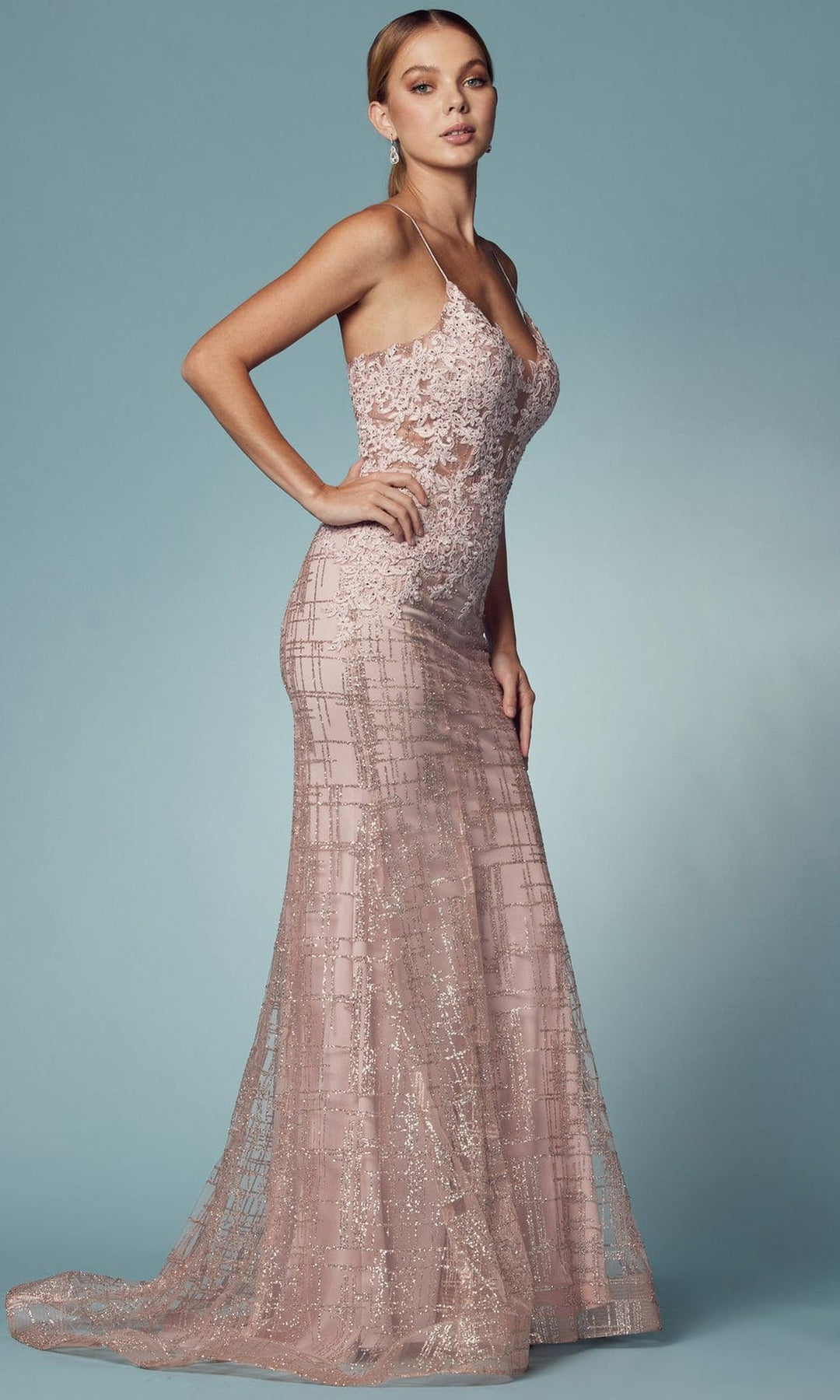 Nox Anabel R282-1 Lace Applique Mermaid Prom Dress