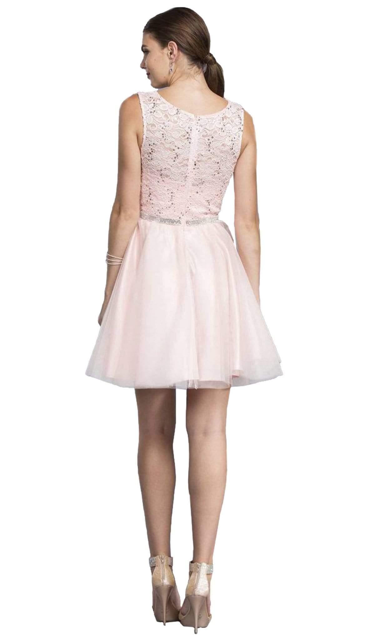 Pink Blush Lace Cocktail Dress Cocktail Dresses