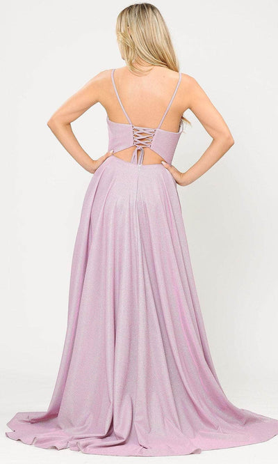 Poly USA 8700 - Sleeveless Scoop Neck Long Gown Prom Dresses