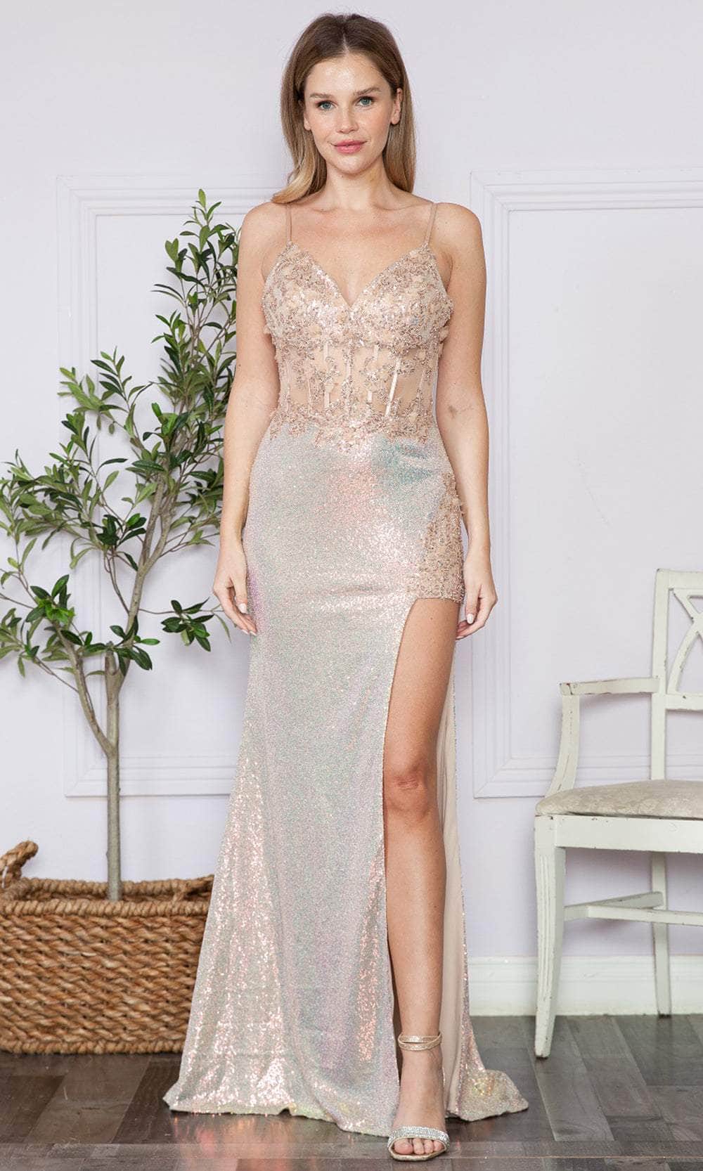 Poly USA 9340 - Sleeveless Illusion Midriff Prom Dress Prom Dresses XS / Rose Gold