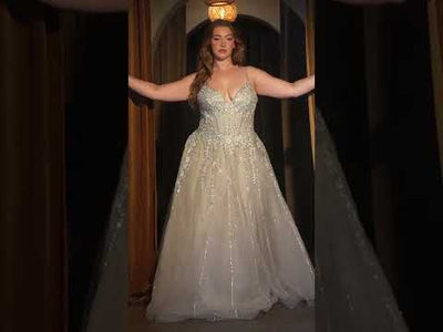 Ladivine CD786C - Tulle V-Neckline Prom Gown