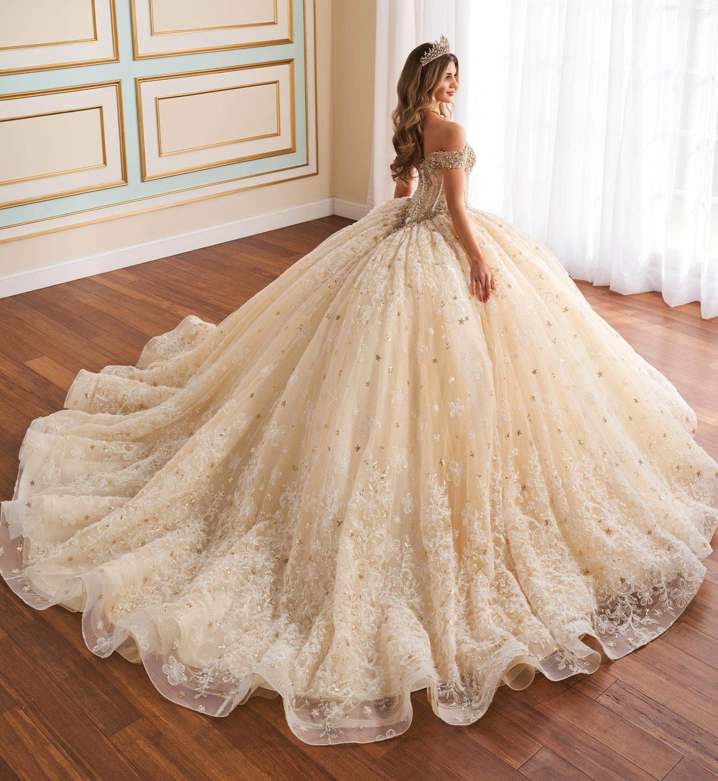 Princesa by Ariana Vara PR30177 - Embroidered with Capelet Lace Quinceañera Gown Quinceanera Dresses