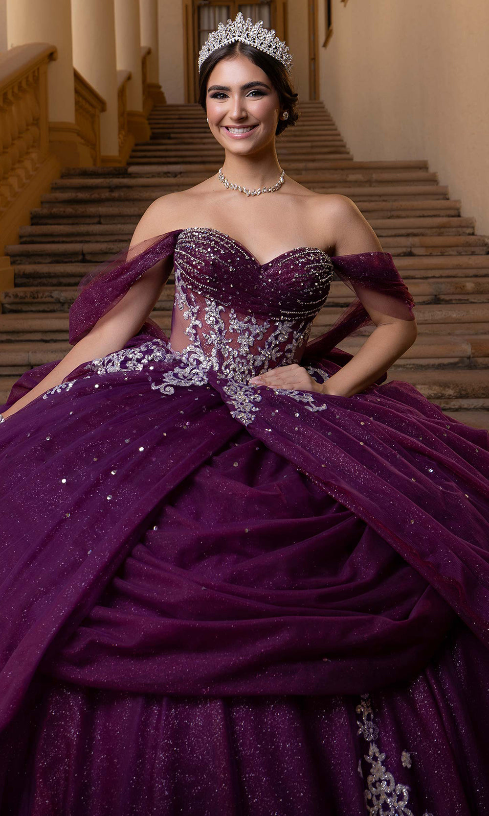 Vizcaya by Mori Lee 4080019 - Sweetheart Neck Embroidered Quince Gown Quinceanera Dresses in Eggplant Silver