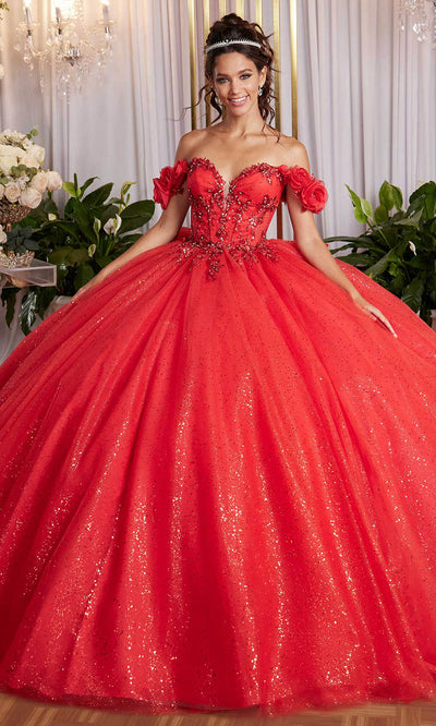 Vizcaya by Mori Lee 89523 - Floral Applique Corset Tulle Ballgown Ball Gowns