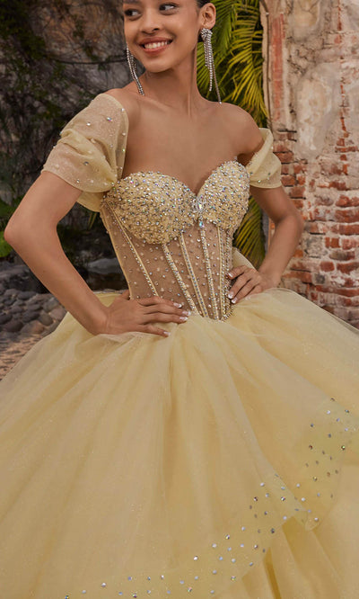 Vizcaya by Mori Lee 89554 - Peplum Overlay Sweetheart Ballgown Ball Gowns