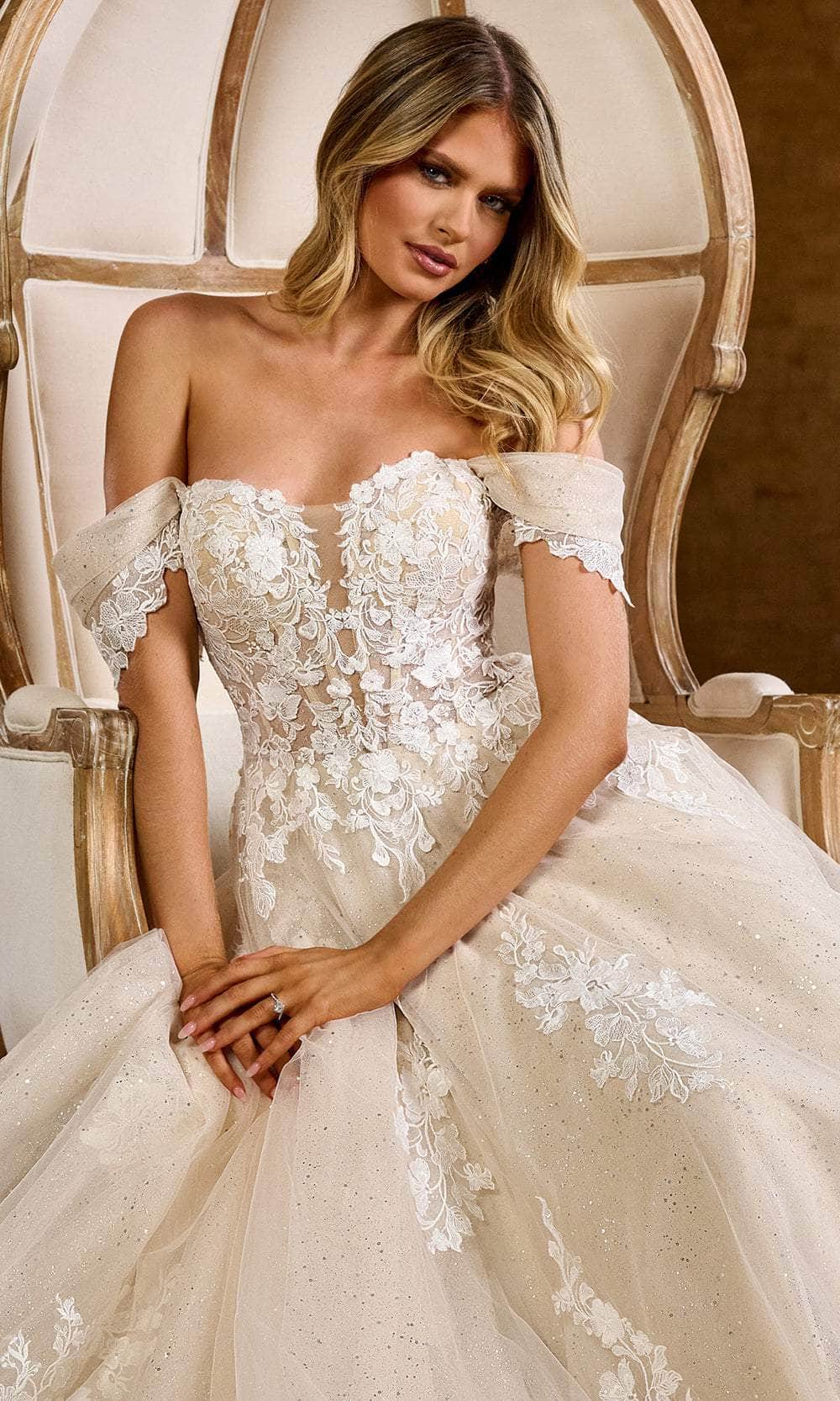 Rachel Allan Bridal RB2184 - Long Tulle, Glitter Tulle, Chiffon, Applique, Beading A-Line Dress - Off Shoulder, Lace Applique, Beaded, Mid-Open Back, Rachel Allan Bridal RB2184 - Long Tulle, Glitter Tulle, Chiffon, Applique, Beading A-Line Dress - Off Shoulder, Lace Applique, Beaded, Mid-Open Back,