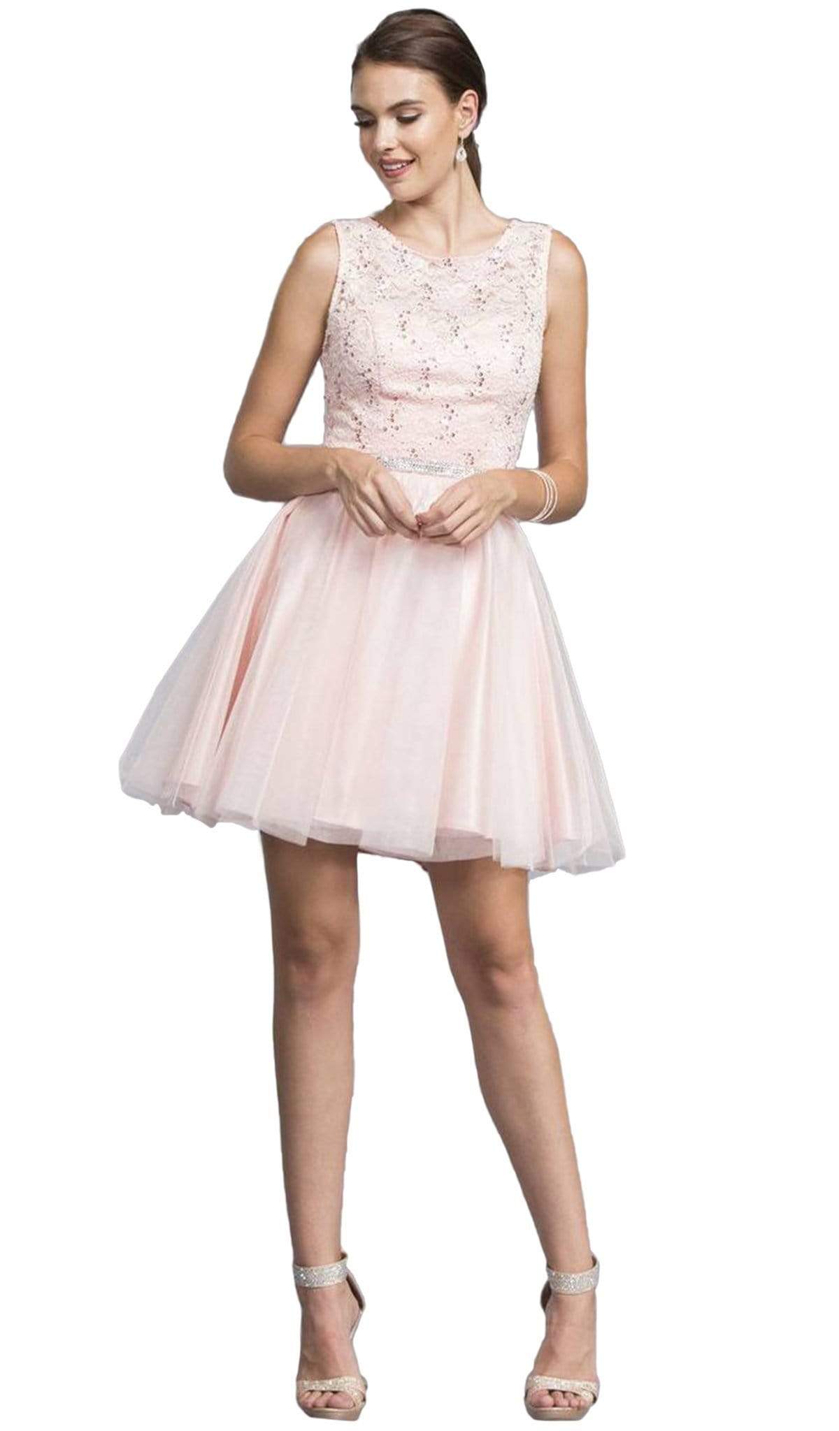 Sleeveless Lace and Tulle Cocktail Dress Homecoming Dresses XXS / Blush