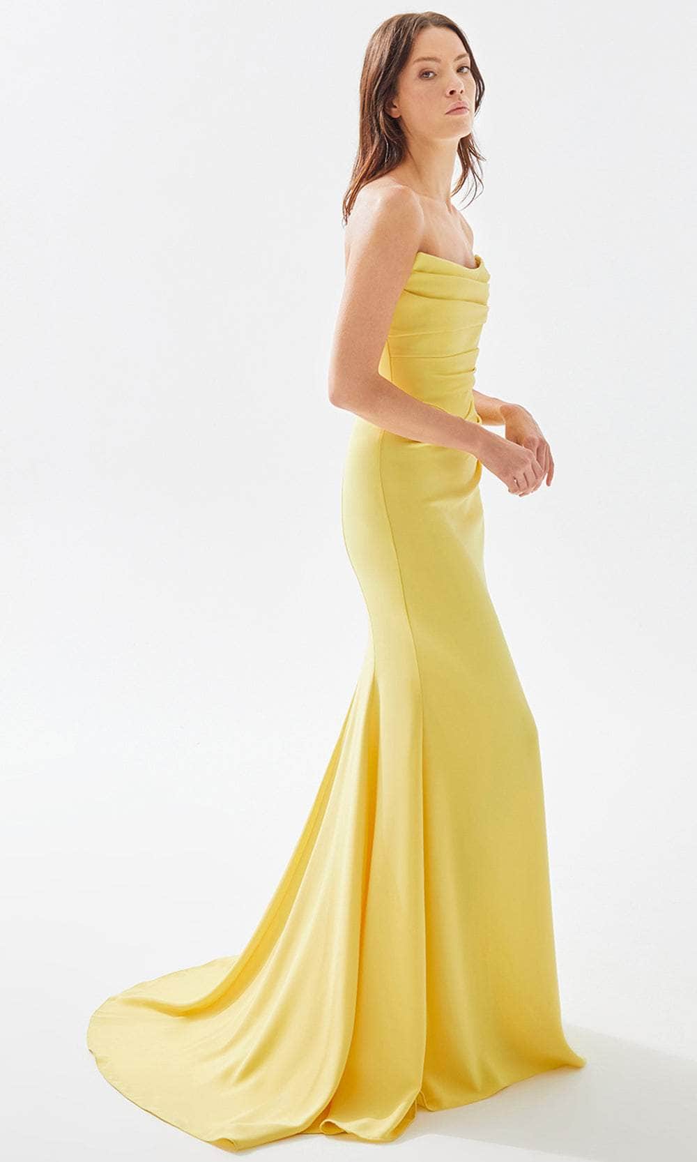 Tarik Ediz 52017 - Strapless Sheath Prom Dress Special Occasion Dress