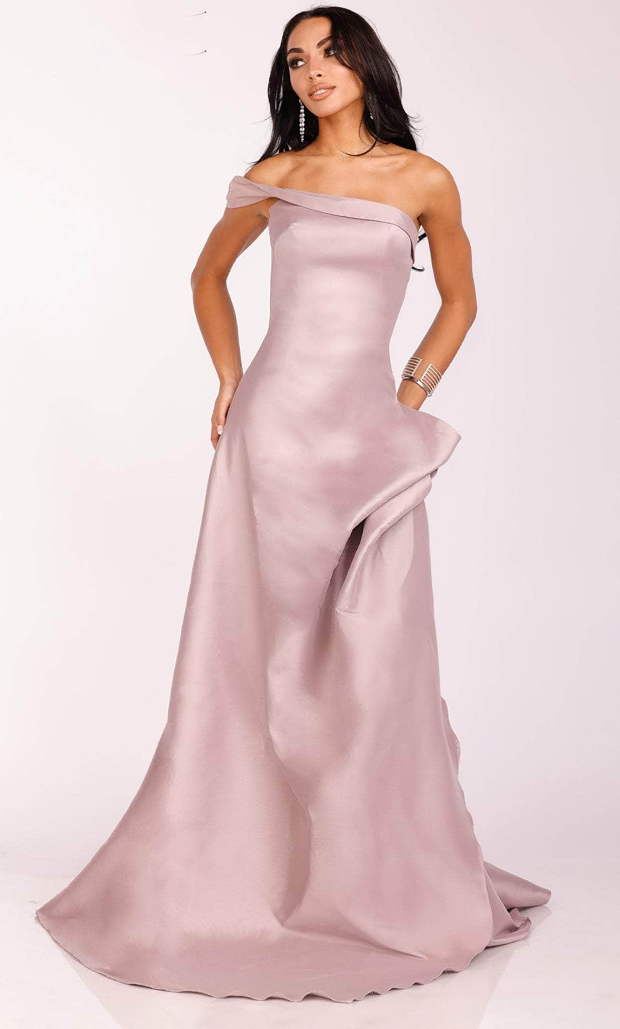 Terani Couture 231P0049 - One Sleeve Asymmetrical Evening Gown Special Occasion Dress 00 / Mauve