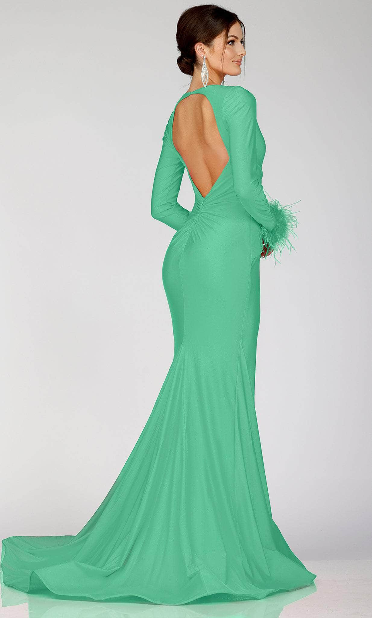 Terani Couture 231P0074 - Long Sleeve Feathered Detailed Evening Gown Special Occasion Dress