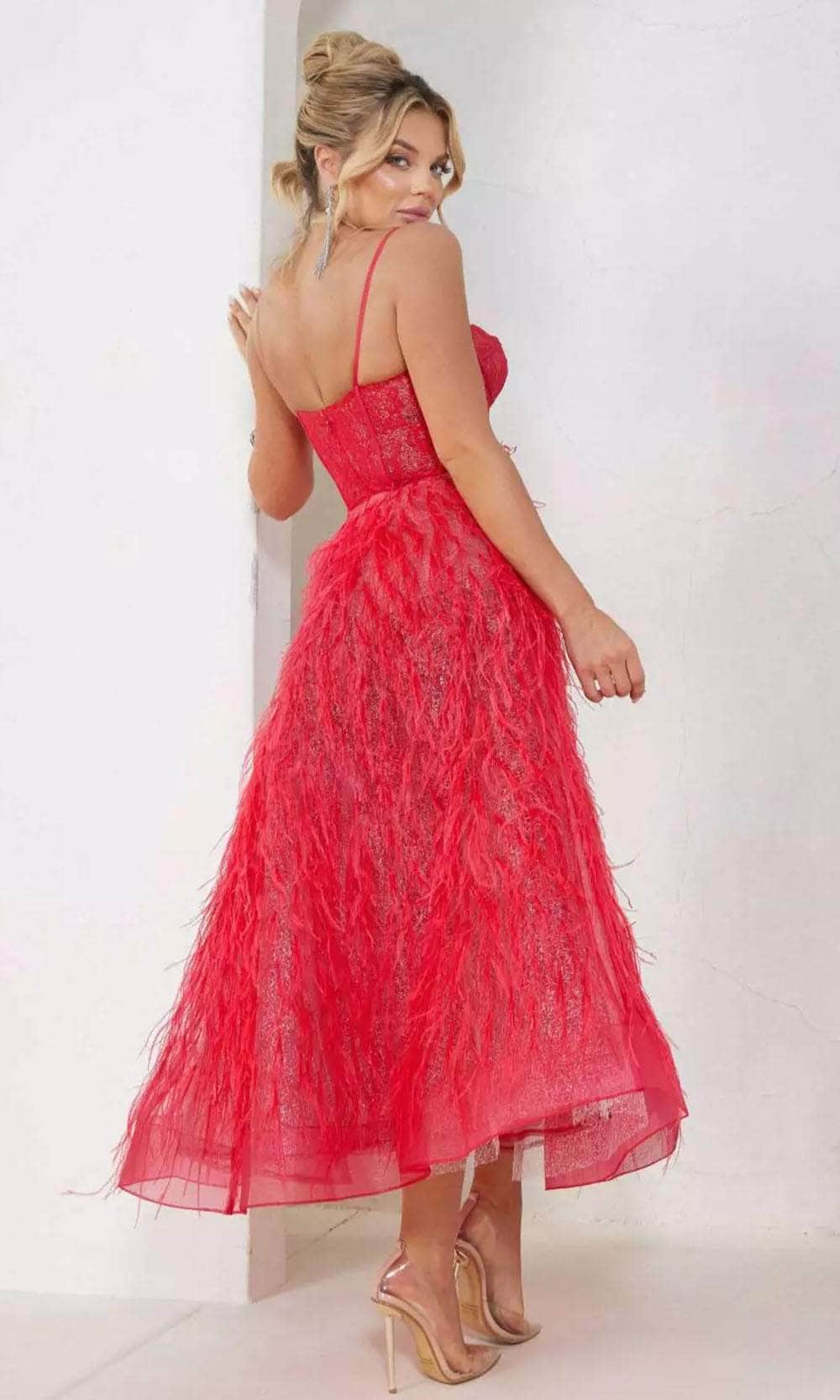 Terani Couture 241P2022 - Feather Corset Prom Dress Prom Dresses