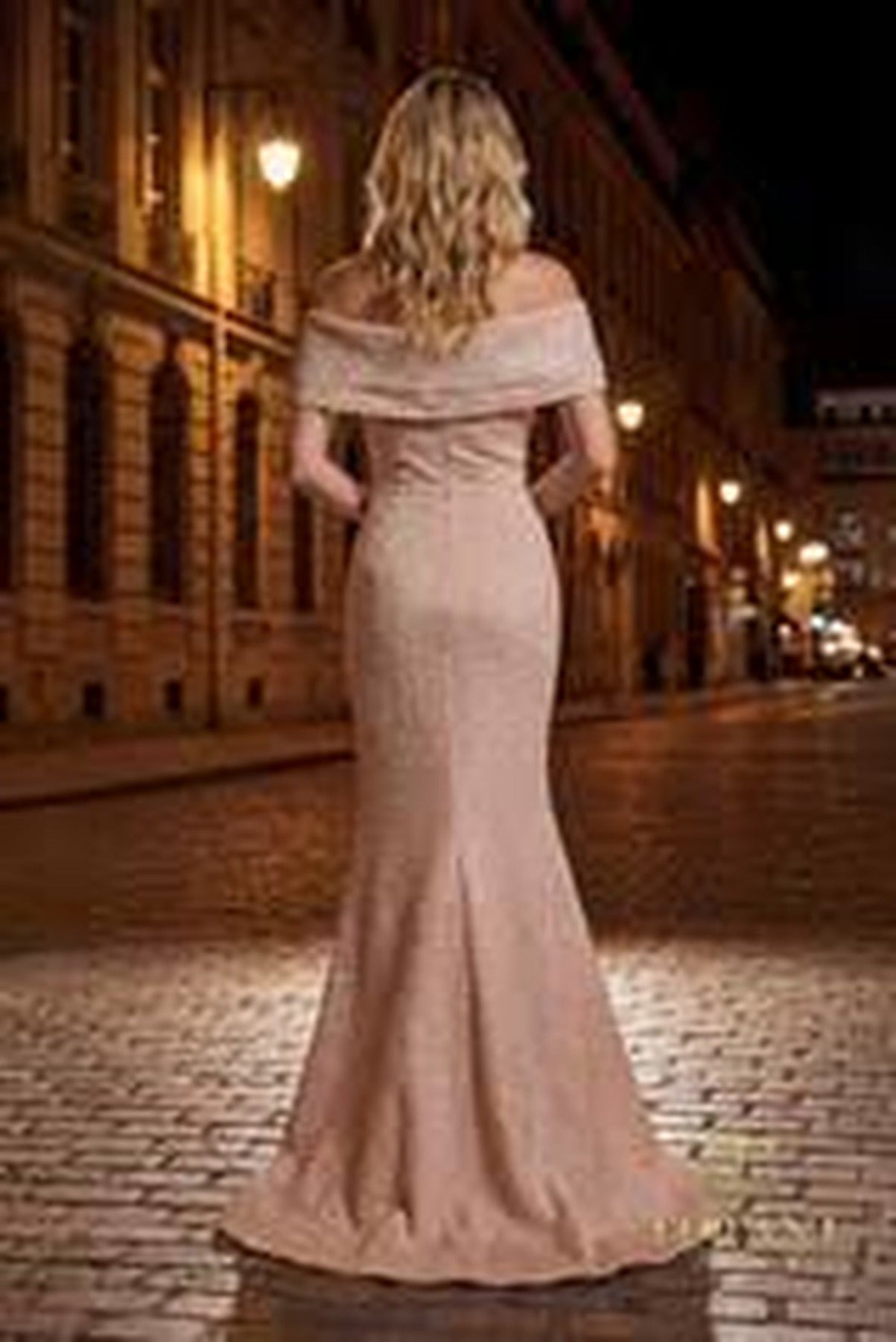 Terani Couture 261M6449 Off Shoulder Floral Accent Evening Dress