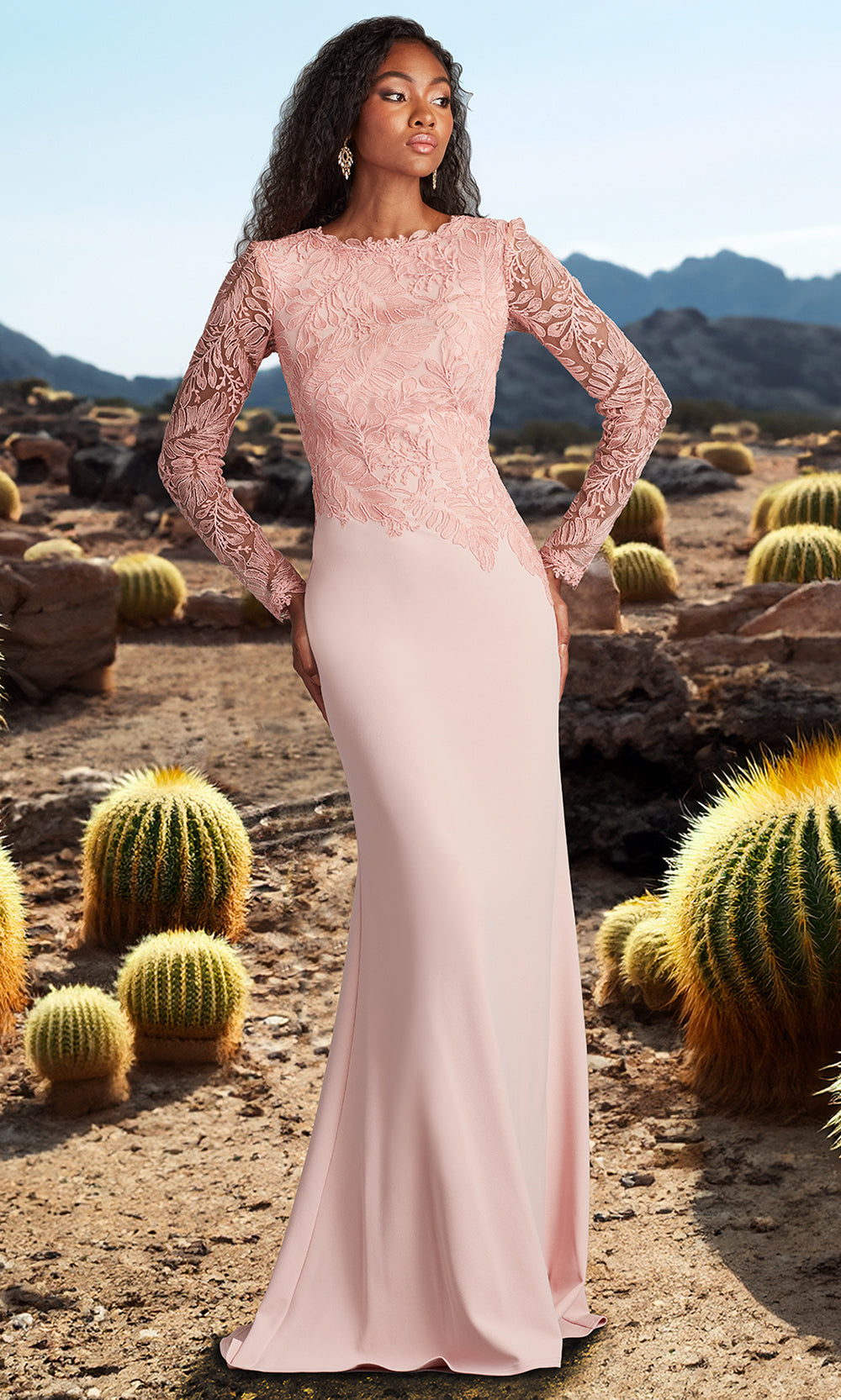 Tadashi Shoji CHU16206LXY - Caliste Embroidered Crepe Long Sleeve Gown Prom Dresses in Pink  
