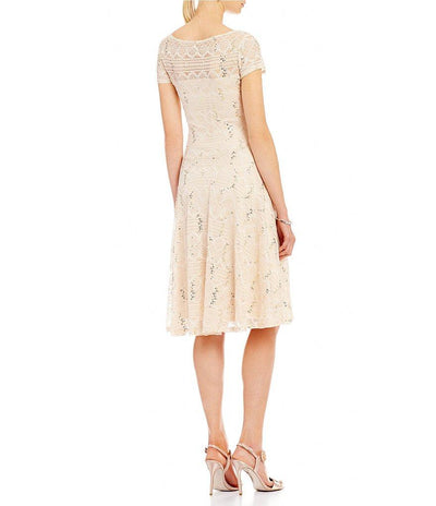 Sangria - SABZ1ACT Lace Bateau A-line Dress in Gray in Neutral