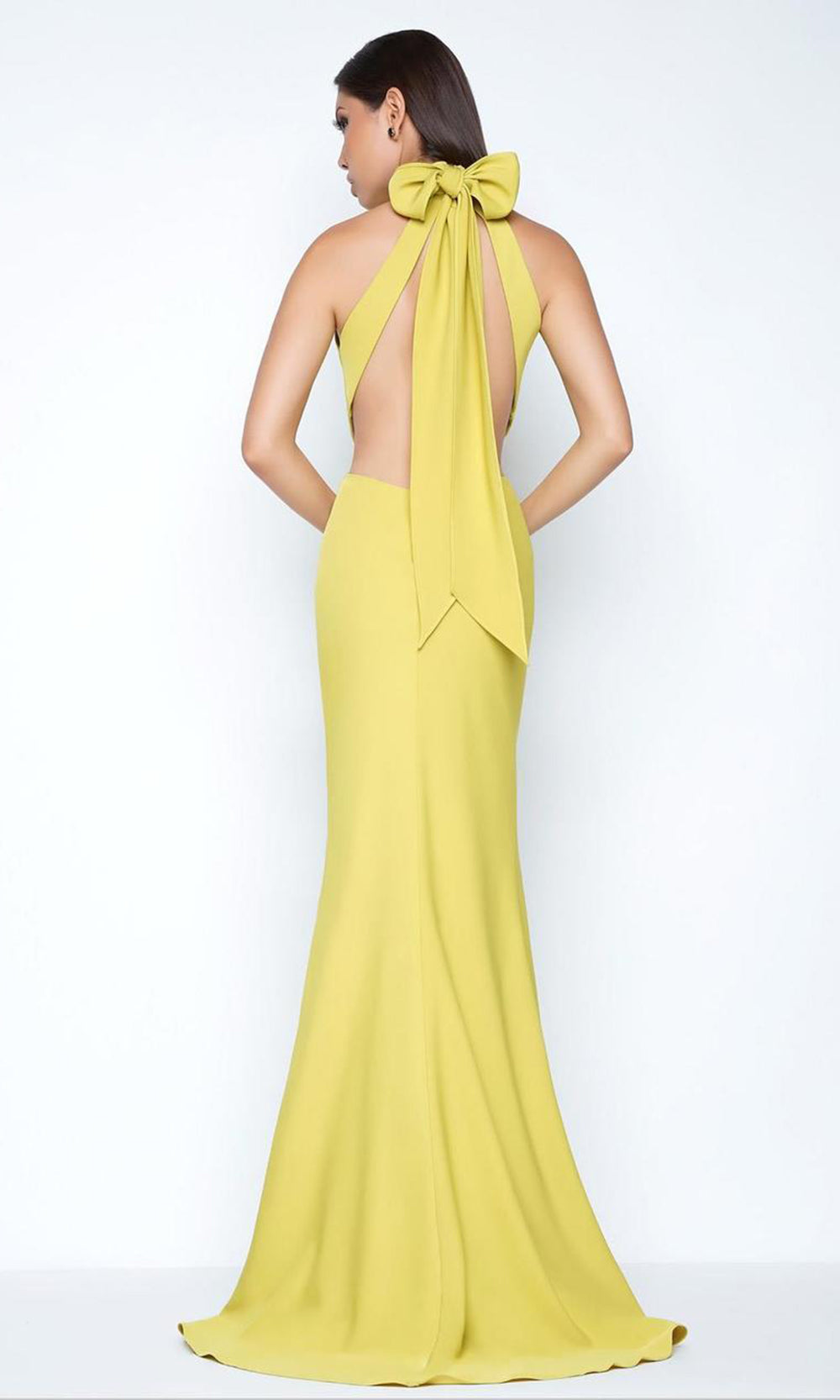 Ieena Duggal - High Halter Dress with Open Back and Bow 25403ISC In Yellow and Green