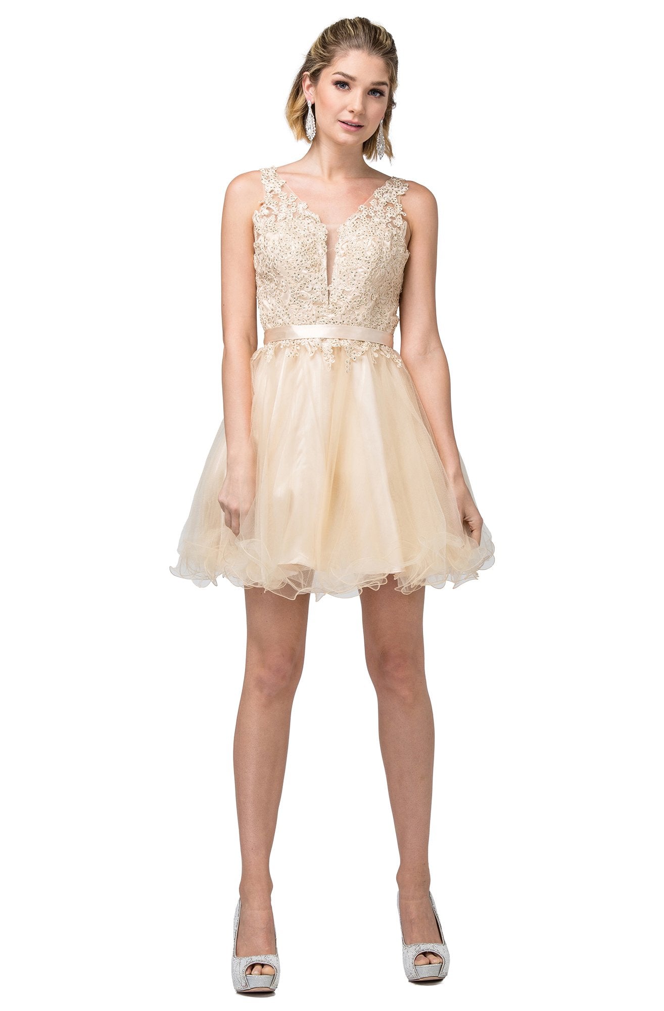 Dancing Queen - 3150 Appliqued Lace Bodice Tulle Dress In Neutral