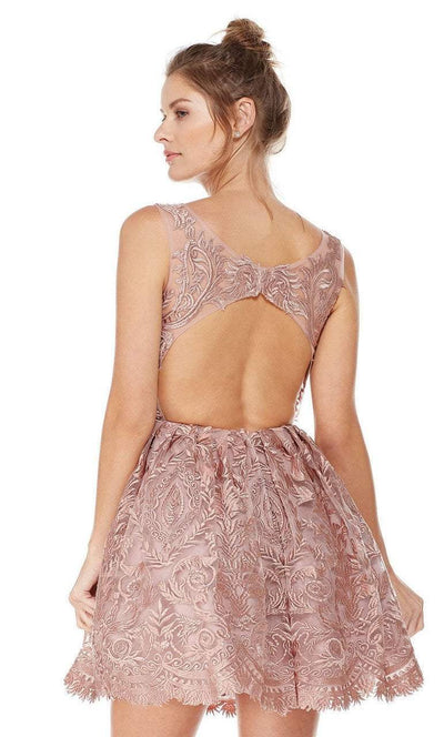 Lace Illusion Bateau A-line Dress in Pink