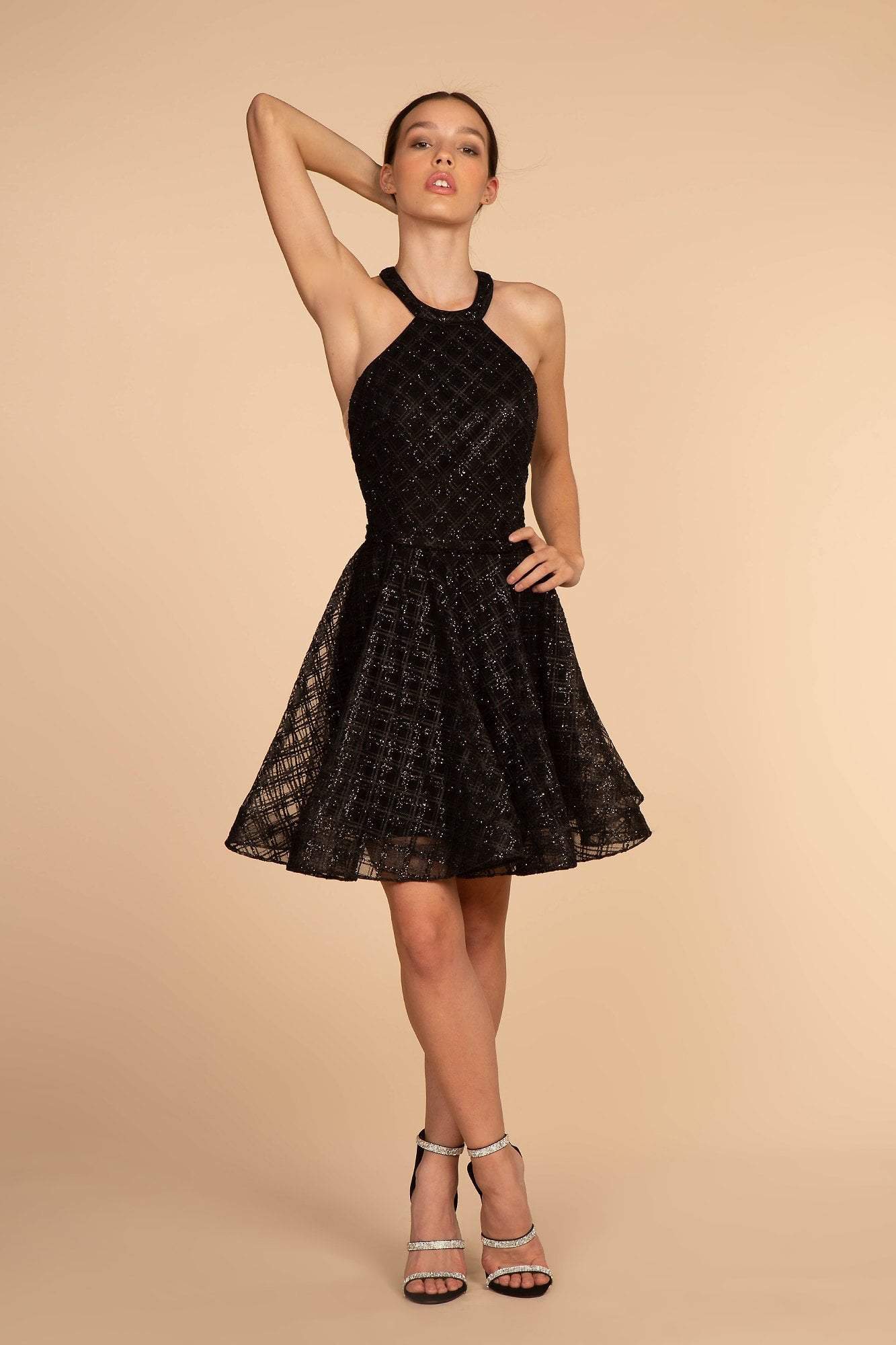 Elizabeth K - GS1631 Sleeveless Halter Neck Tulle A-line Dress Special Occasion Dress XS / Black